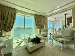 https://img.olx.com.br/thumbs256x256/11/116564593124994.jpg