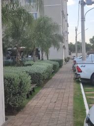 https://img.olx.com.br/thumbs256x256/11/116580276150563.jpg