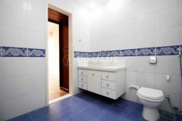 https://img.olx.com.br/thumbs256x256/11/116592528601388.jpg