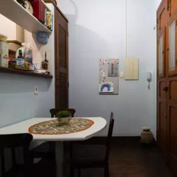https://img.olx.com.br/thumbs256x256/11/117677771714401.jpg