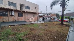 https://img.olx.com.br/thumbs256x256/11/118587527169589.jpg
