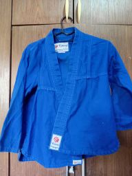 https://img.olx.com.br/thumbs256x256/11/119535514203528.jpg