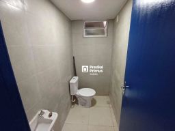 https://img.olx.com.br/thumbs256x256/11/119588766159718.jpg