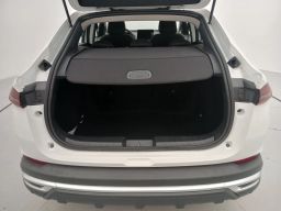 https://img.olx.com.br/thumbs256x256/11/119642189413161.jpg