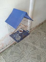 https://img.olx.com.br/thumbs256x256/12/120576278184942.jpg