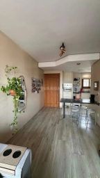 https://img.olx.com.br/thumbs256x256/12/121521645314146.jpg