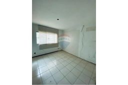 https://img.olx.com.br/thumbs256x256/12/121538762032343.jpg