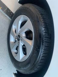 https://img.olx.com.br/thumbs256x256/12/121572393022924.jpg