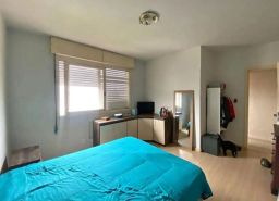 https://img.olx.com.br/thumbs256x256/12/122593286355044.jpg