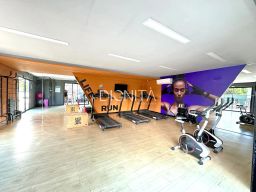 https://img.olx.com.br/thumbs256x256/12/123504525233490.jpg