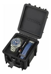 https://img.olx.com.br/thumbs256x256/12/123602904476725.jpg