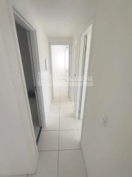https://img.olx.com.br/thumbs256x256/12/124554517065789.jpg