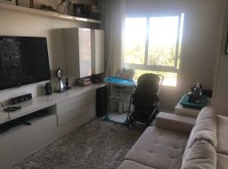 https://img.olx.com.br/thumbs256x256/12/125518160241405.jpg