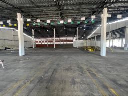 https://img.olx.com.br/thumbs256x256/12/125531287896240.jpg
