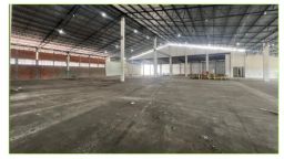 https://img.olx.com.br/thumbs256x256/12/125539762595949.jpg