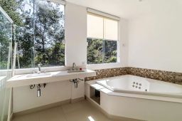 https://img.olx.com.br/thumbs256x256/12/125565390187576.jpg