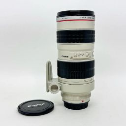 https://img.olx.com.br/thumbs256x256/12/125667565226631.jpg
