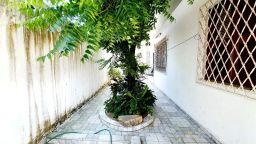 https://img.olx.com.br/thumbs256x256/12/126502527725027.jpg