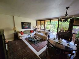https://img.olx.com.br/thumbs256x256/12/126519165301434.jpg