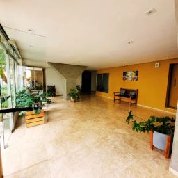 https://img.olx.com.br/thumbs256x256/12/126602420327327.jpg