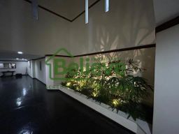 https://img.olx.com.br/thumbs256x256/12/126653365359425.jpg