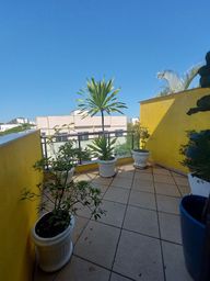 https://img.olx.com.br/thumbs256x256/12/128226396446931.jpg