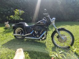 https://img.olx.com.br/thumbs256x256/12/128529515192541.jpg