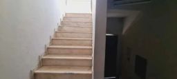 https://img.olx.com.br/thumbs256x256/12/129540270330407.jpg