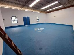 https://img.olx.com.br/thumbs256x256/12/129574881656542.jpg