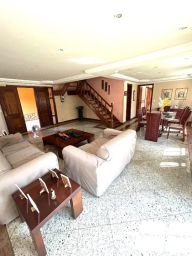 https://img.olx.com.br/thumbs256x256/13/131544737329824.jpg
