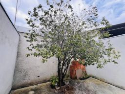 https://img.olx.com.br/thumbs256x256/13/131602337117390.jpg
