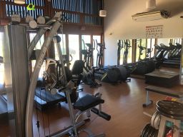 https://img.olx.com.br/thumbs256x256/13/132520889875505.jpg