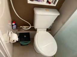 https://img.olx.com.br/thumbs256x256/13/132536399632283.jpg