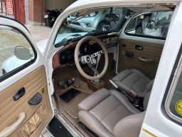 https://img.olx.com.br/thumbs256x256/13/133510769825349.jpg