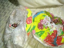 https://img.olx.com.br/thumbs256x256/13/133572485817215.jpg