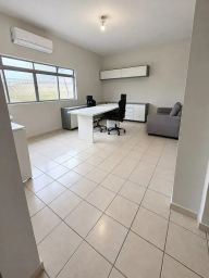 https://img.olx.com.br/thumbs256x256/13/133688447685777.jpg