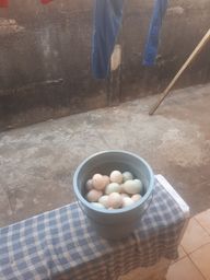 Título do anúncio: Vende-se ovos de galinha caipira 