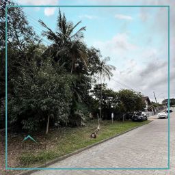 https://img.olx.com.br/thumbs256x256/13/135541286047142.jpg