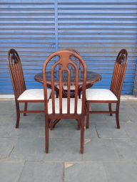 https://img.olx.com.br/thumbs256x256/13/135569400284560.jpg