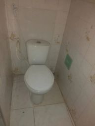 https://img.olx.com.br/thumbs256x256/13/137540277885291.jpg