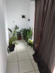 https://img.olx.com.br/thumbs256x256/13/137572760959914.jpg