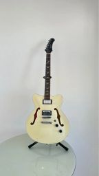 https://img.olx.com.br/thumbs256x256/13/138568528494971.jpg