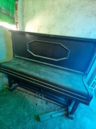 https://img.olx.com.br/thumbs256x256/13/139505634685181.jpg