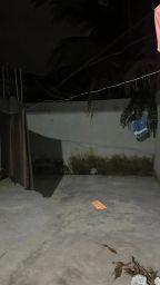 https://img.olx.com.br/thumbs256x256/13/139507044559029.jpg