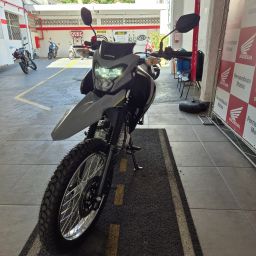 https://img.olx.com.br/thumbs256x256/13/139582510947646.jpg