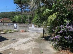https://img.olx.com.br/thumbs256x256/14/140506875438030.jpg