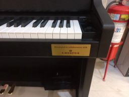 https://img.olx.com.br/thumbs256x256/14/141427497006636.jpg