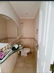 https://img.olx.com.br/thumbs256x256/14/141538287697414.jpg