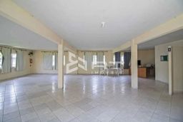https://img.olx.com.br/thumbs256x256/14/141564641068648.jpg