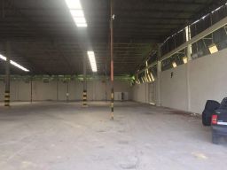 https://img.olx.com.br/thumbs256x256/14/141637432701626.jpg